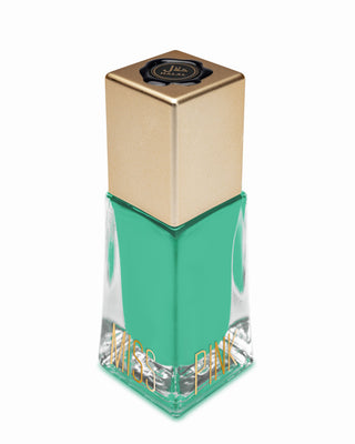 VERNIS PERMEABLE - H133